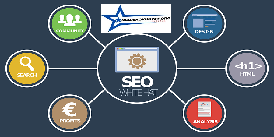 Why Backlink Checkers Are Vital for Your SEO Strategy