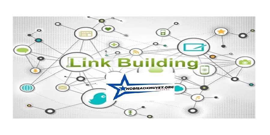 Backlink analytics